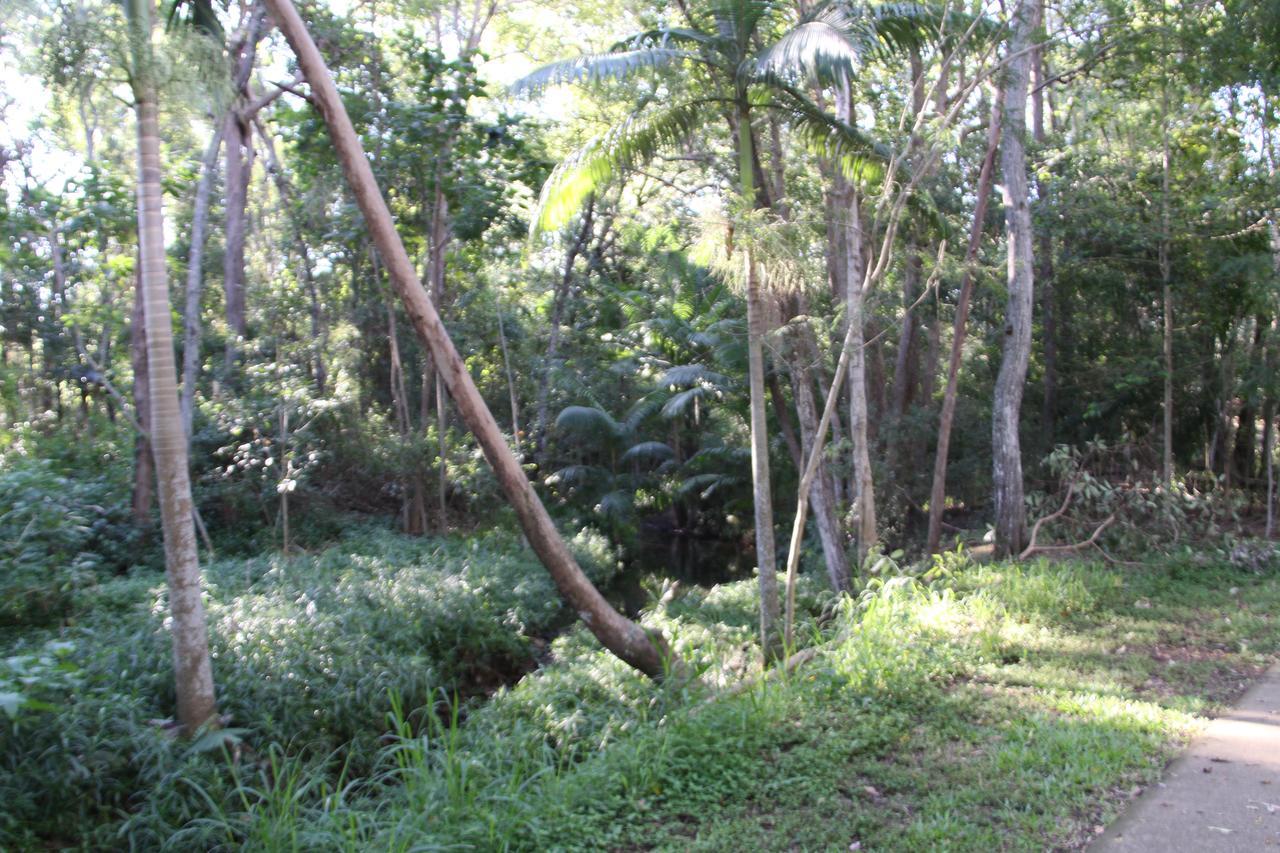 Paperbark Bed & Breakfast Brisbane Kültér fotó